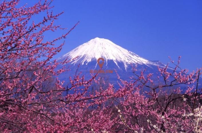 2019 北欧日式风情游学之旅-102