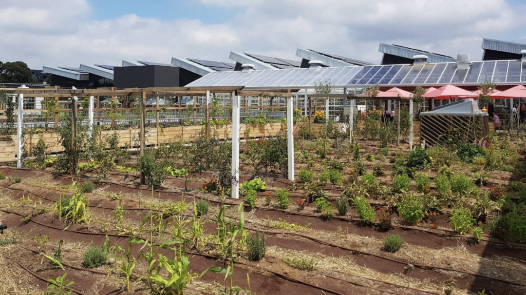 泰国Ramathibodi Healing Garden-17