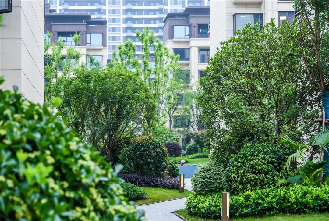 南昌中海湖心半岛丨中国南昌丨原构国际设计顾问(方案设计,施工图设计)-24