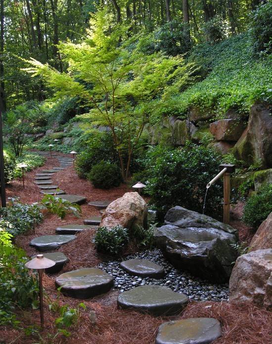 庭院花境中的土壤覆盖物设计与应用-33