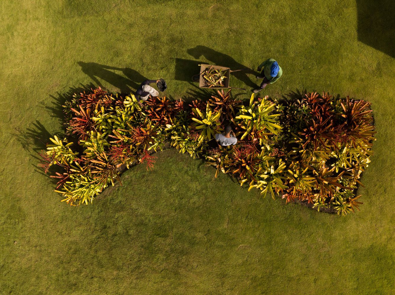 巴西丛林中的 01 TVN House-29