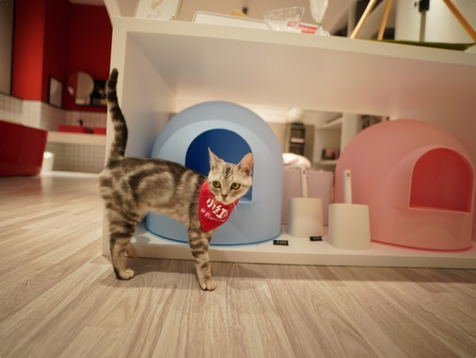 “流量收割机”，开了全球首家线下体验店-19