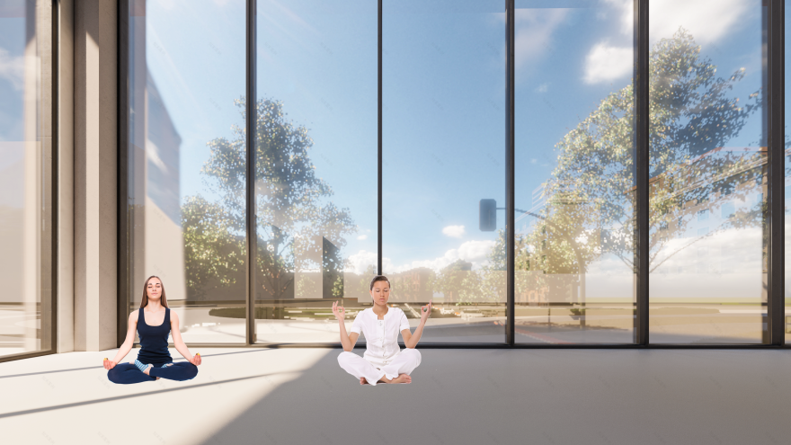 psychosocial hub(心理社会中心)-47