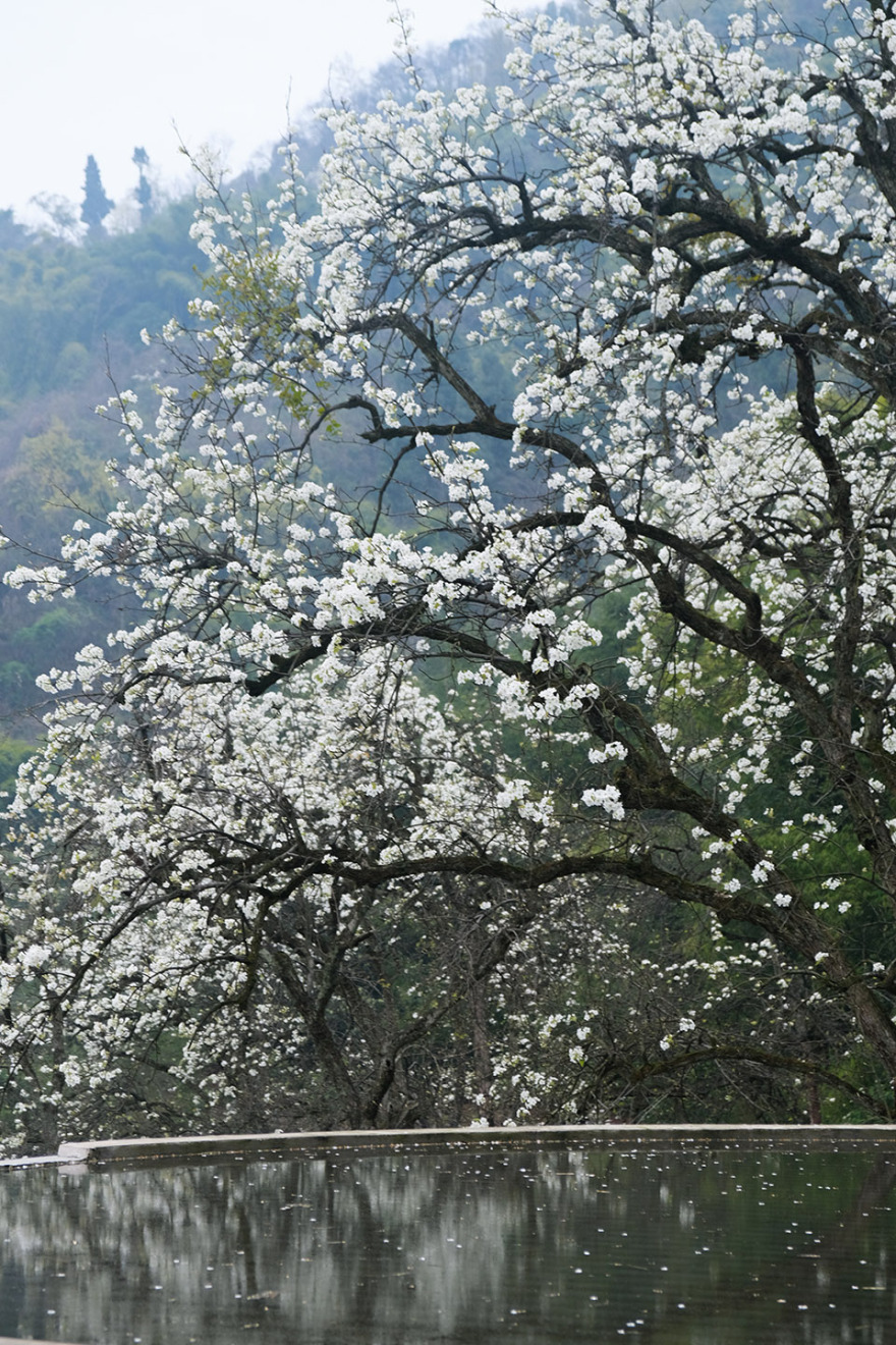 不在山林·飞雪纪丨中国泸州丨小隐建筑事务所-49