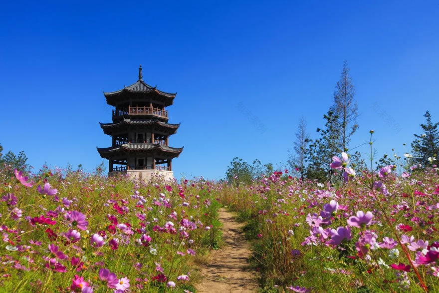 长春北湖国家湿地公园-35