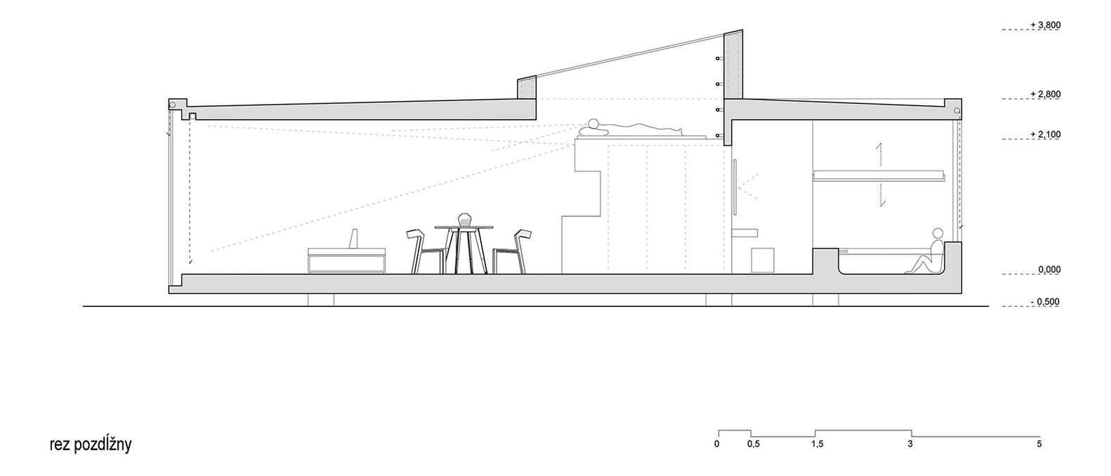 Into the Wild  Ark-61