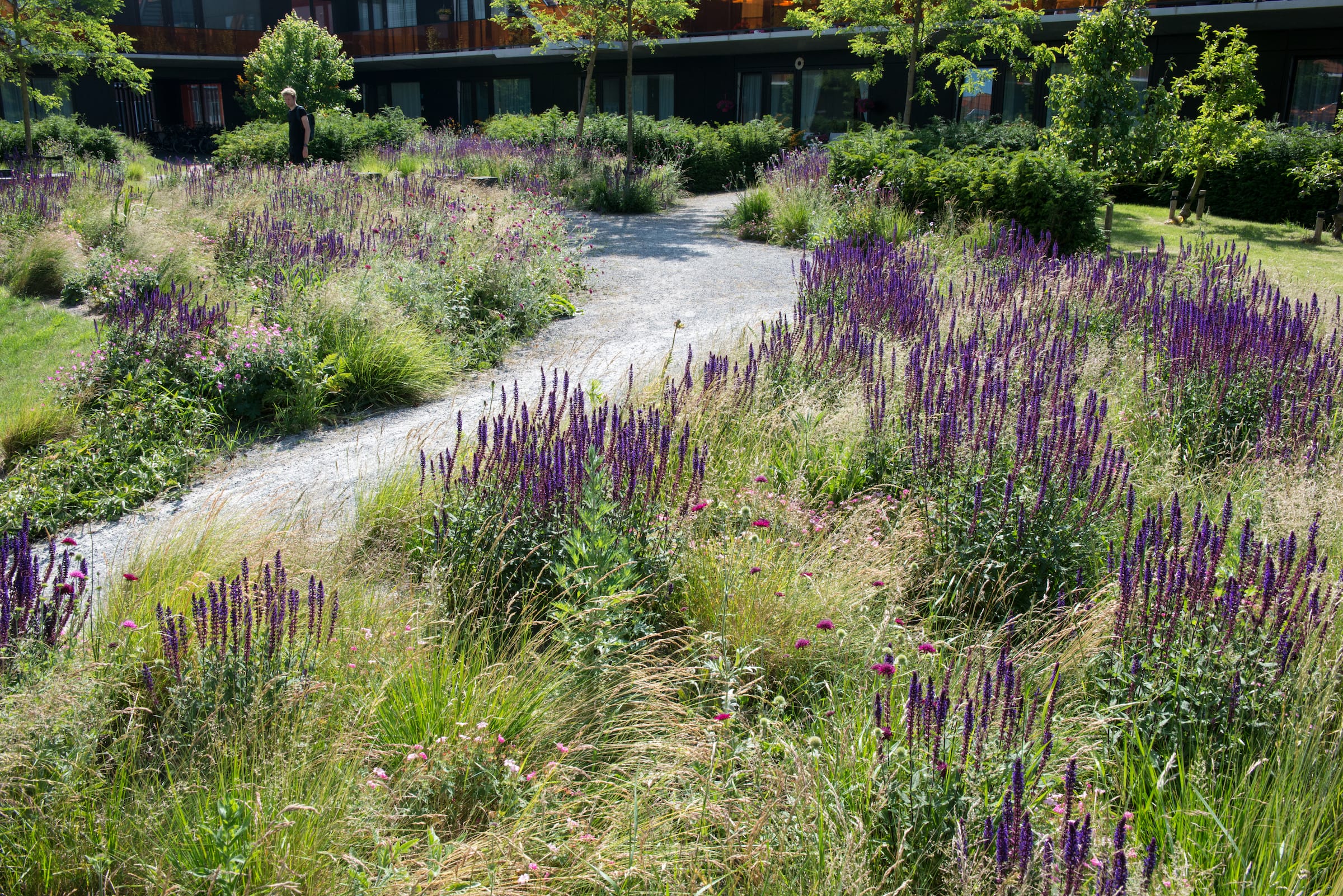 整个欧洲，德尔瓦景观建筑师事务所-50