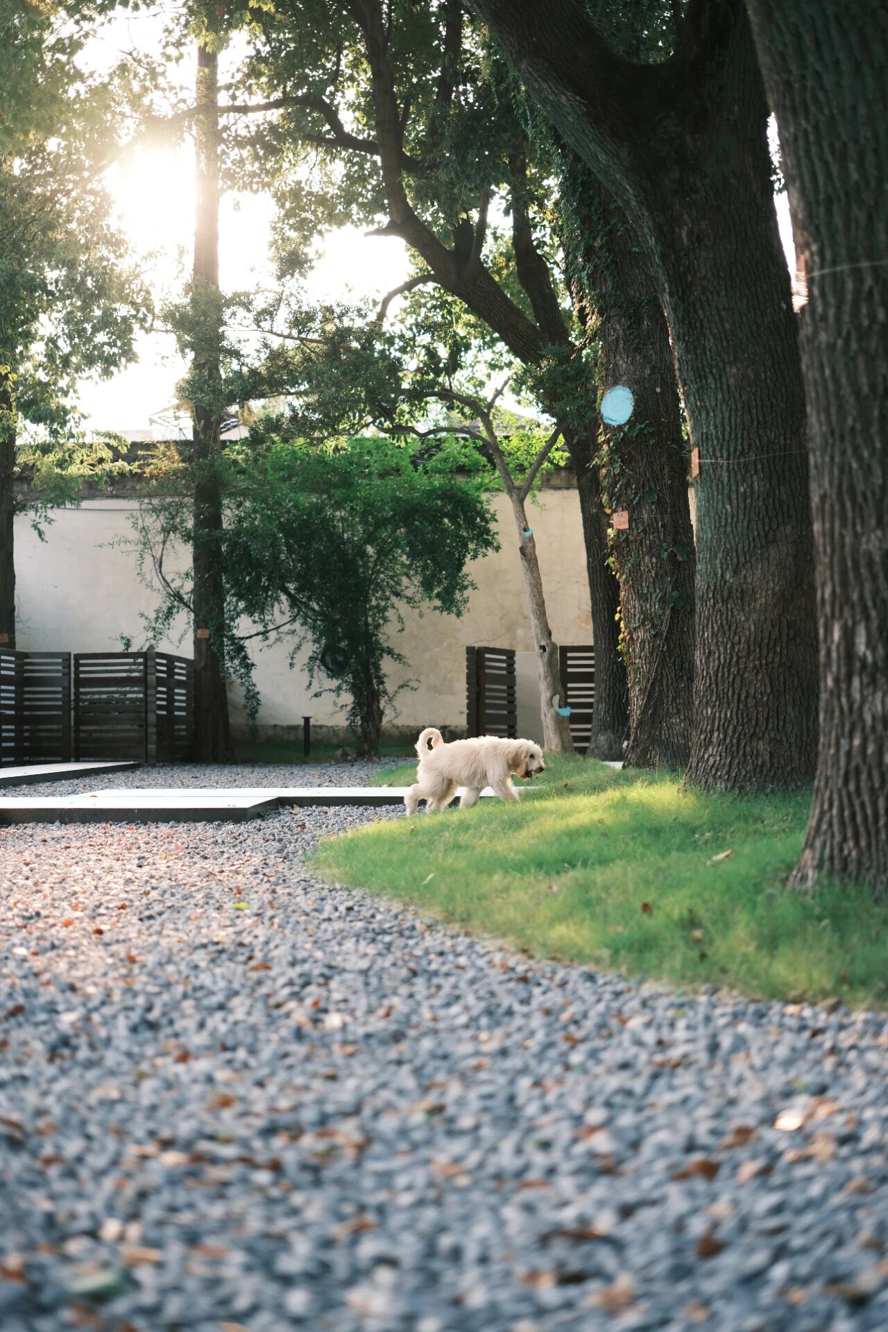 平江路松之屿民宿丨中国苏州丨咫间设计-113