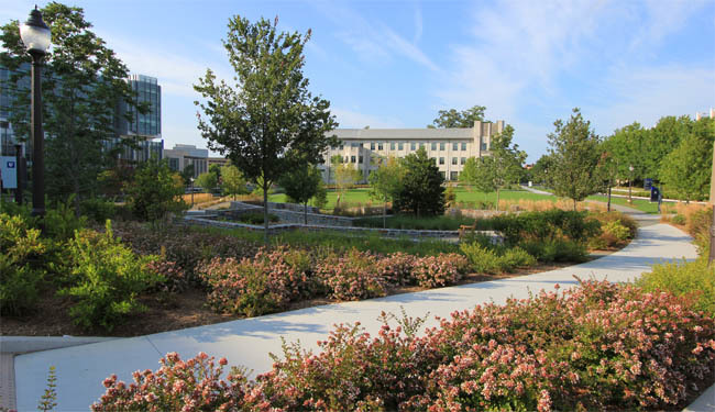 杜克大学多个校园景观项目（如医疗中心四方院等）-19