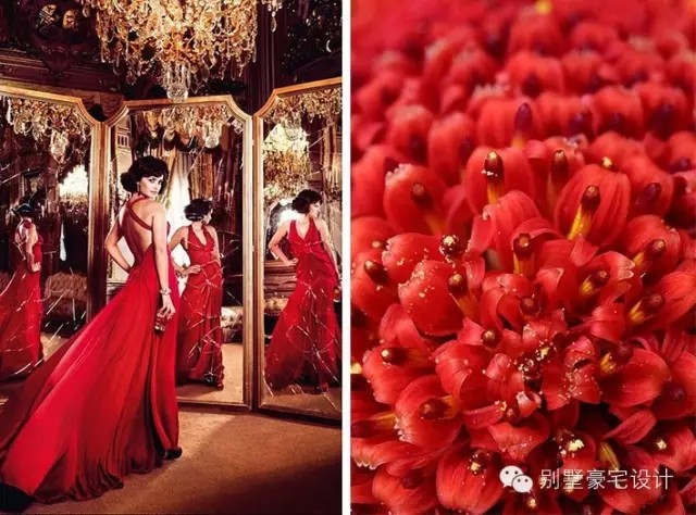 中国红大寒破冰，别墅豪宅添暖意-5