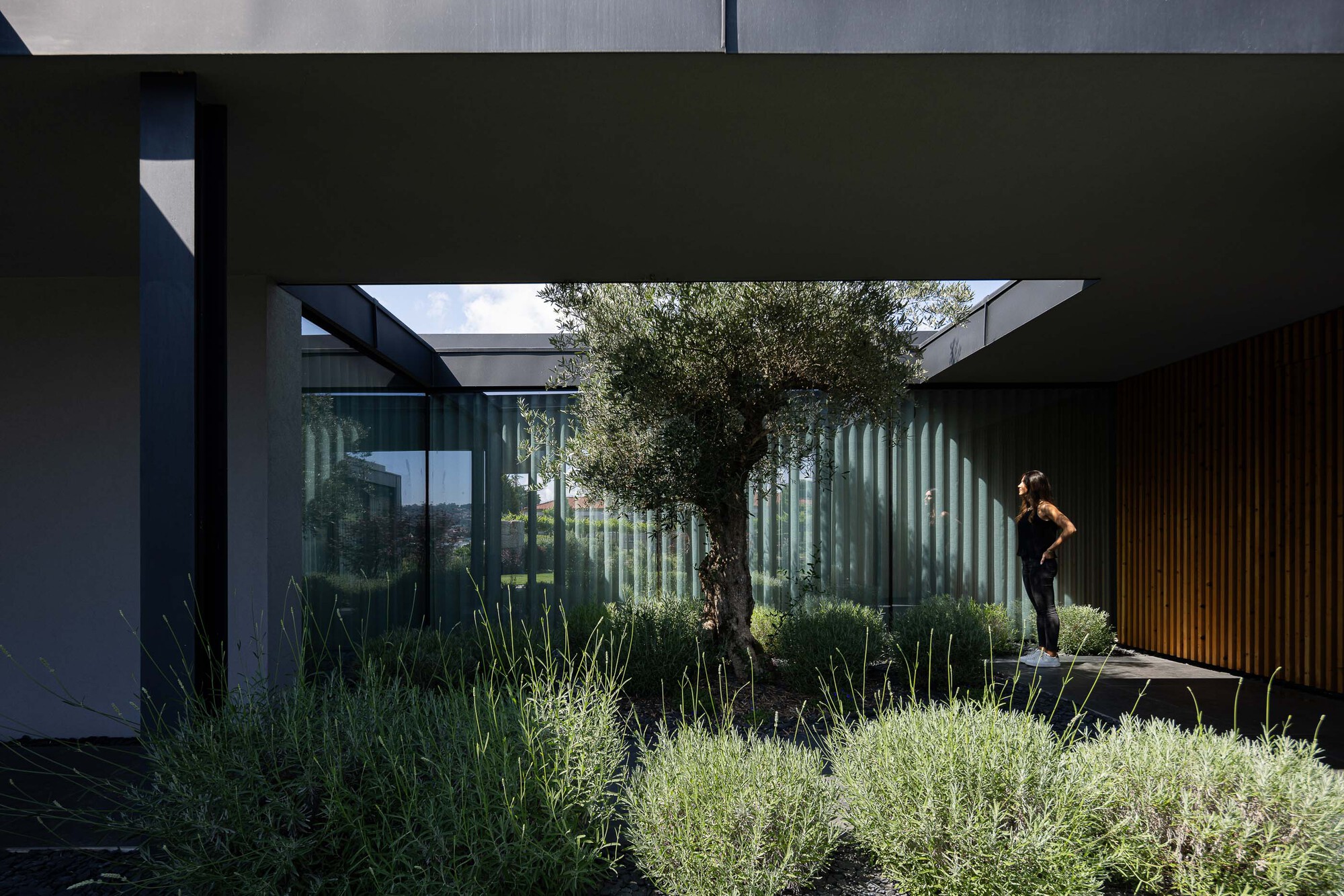 丨葡萄牙丨Ricardo Azevedo Arquitecto-20