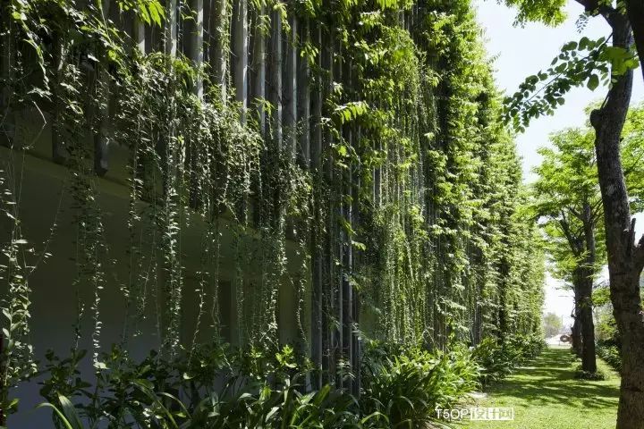 去了越南,这家绿植酒店一定不能错过-13