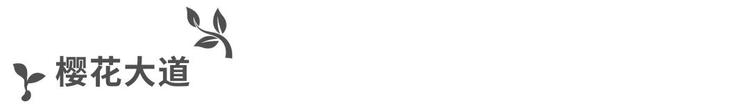 南昌万科万创科技小镇示范区丨中国南昌丨上海五贝景观设计有限公司-62