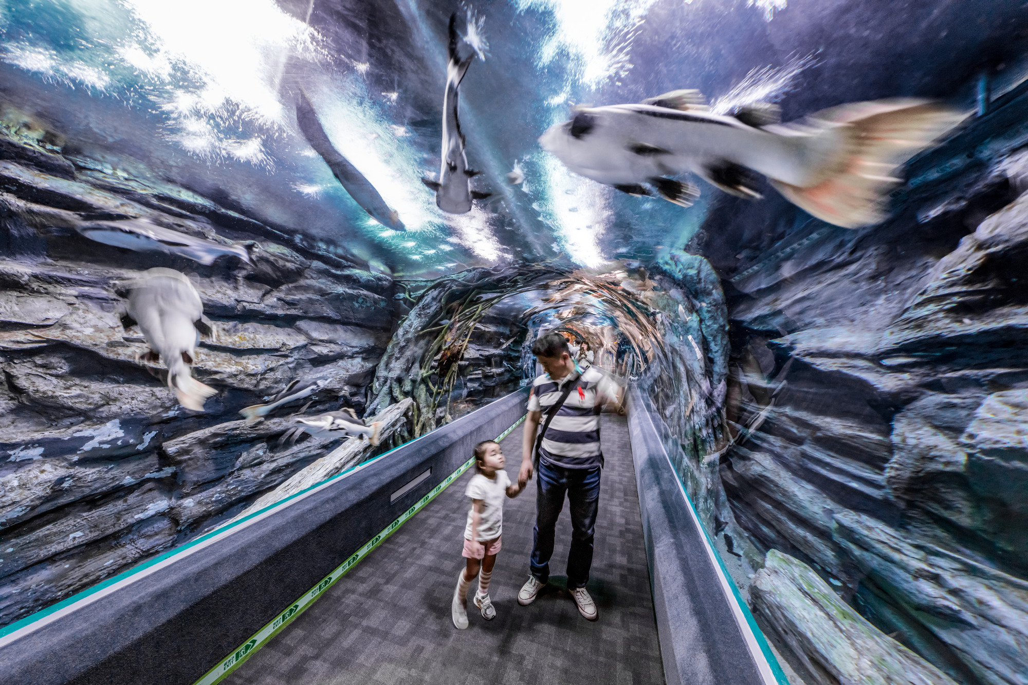 韩国乐天世界塔丨韩国首尔丨KPF-57