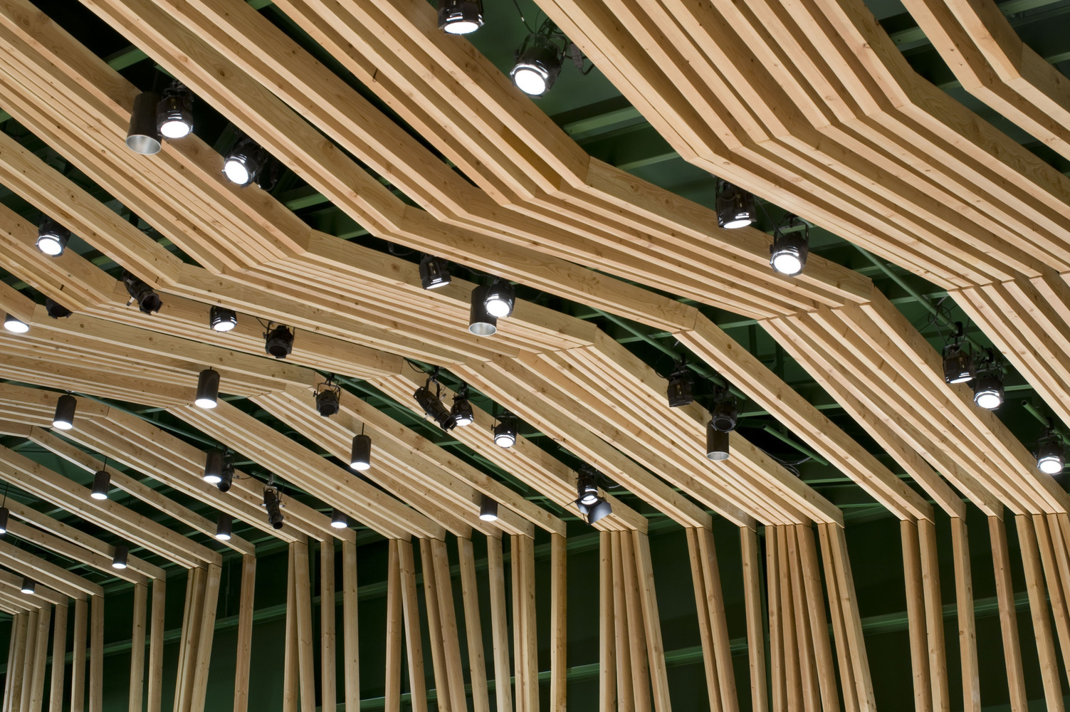 William M· Lowman 音乐会厅-44