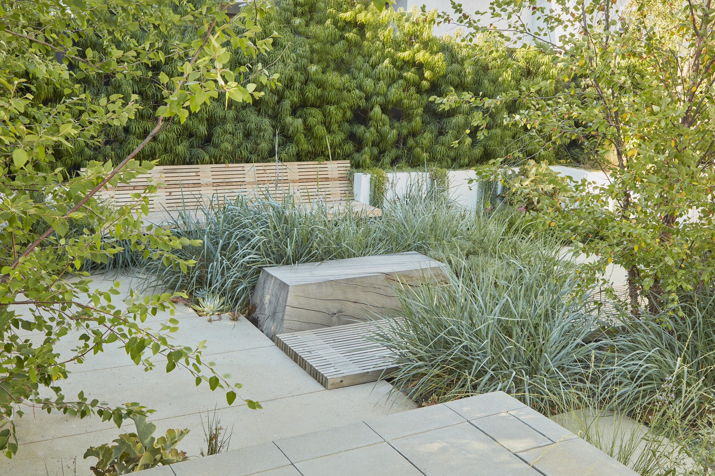 门前野趣丨TERREMOTO-58