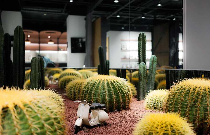 北京咖啡工艺空间-19