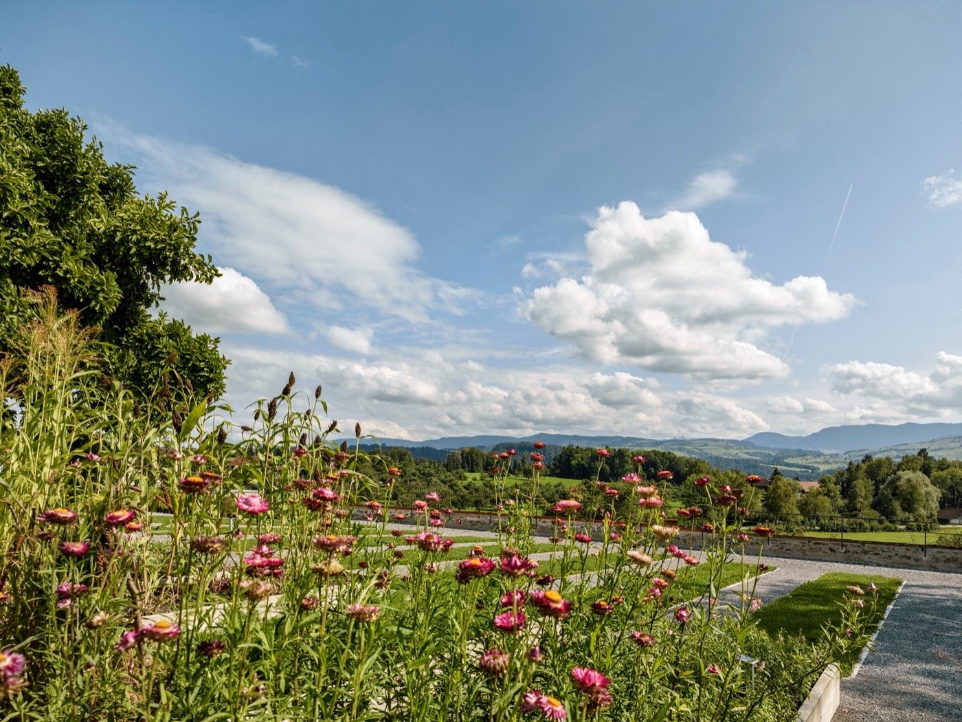 瑞士前修道院 Kloster Kappel 的新花园-14