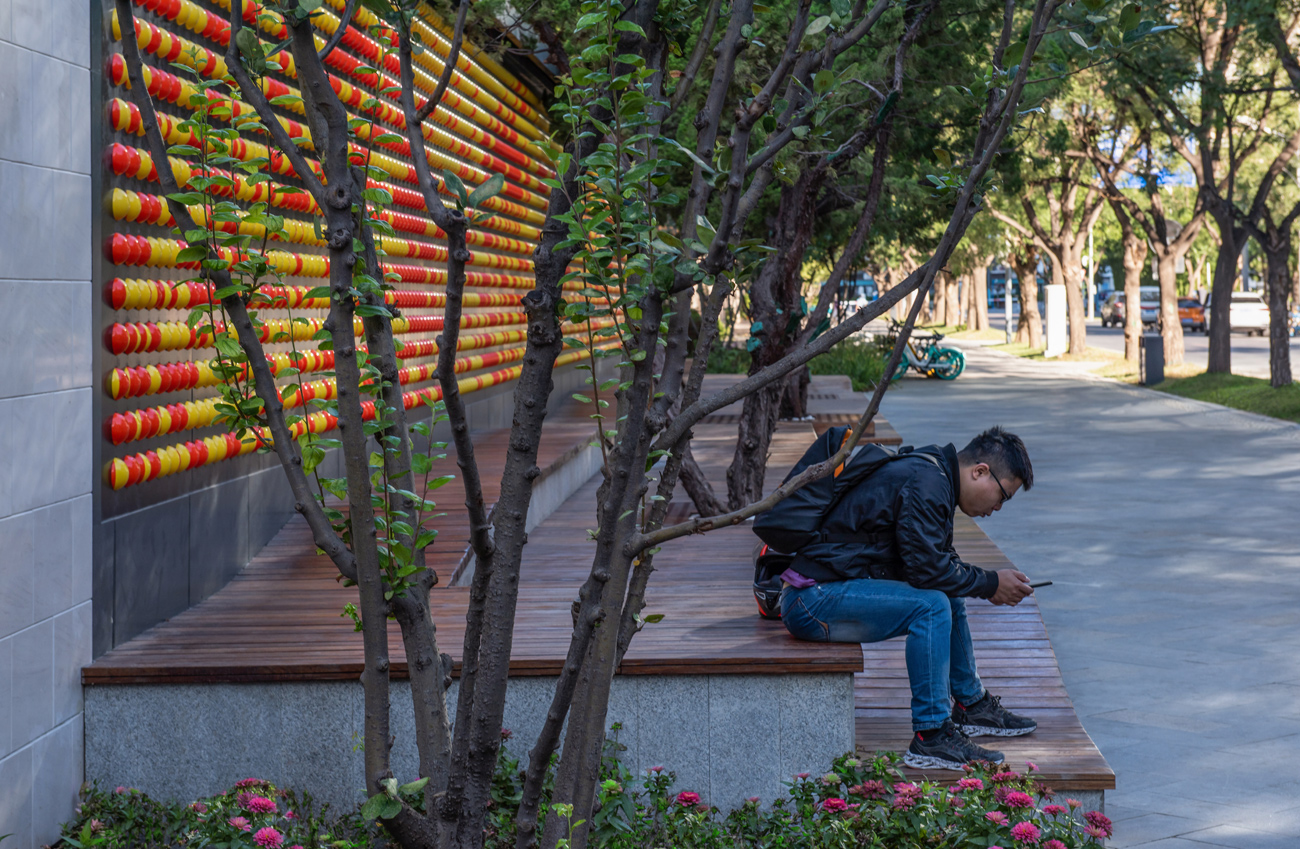 丽都花园北路街道-26