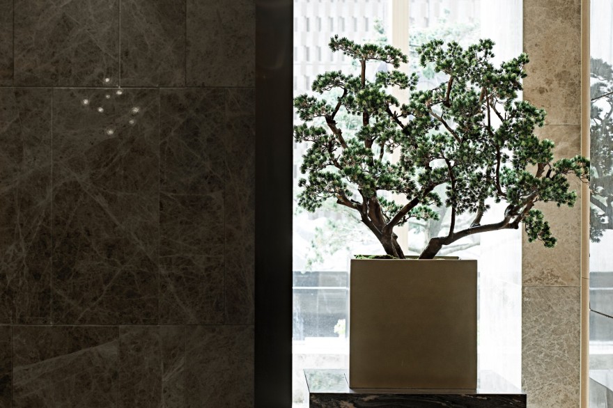 安徽·中丞马鞍山翰林国宾府销售中心-15