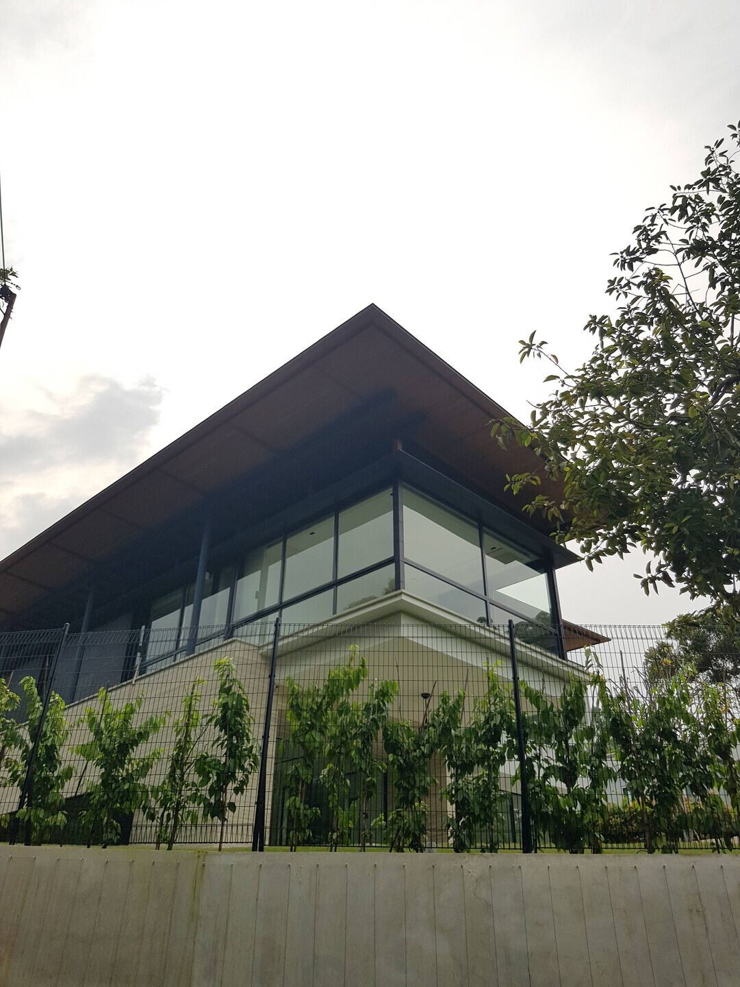 新加坡植物园旁的无框玻璃电梯别墅-7