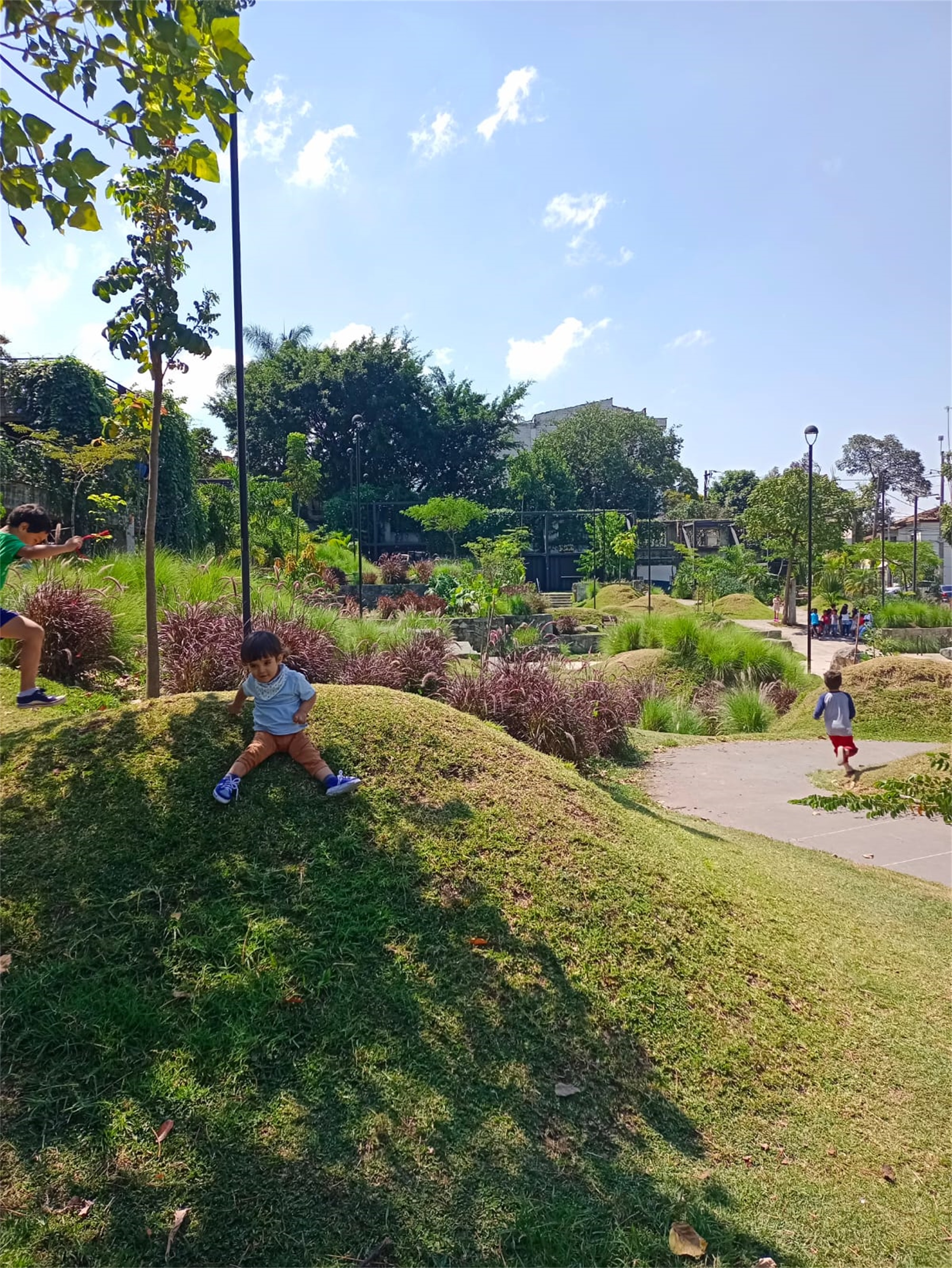 自然的生长花园PRADO PARK / Edgar Mazo-28