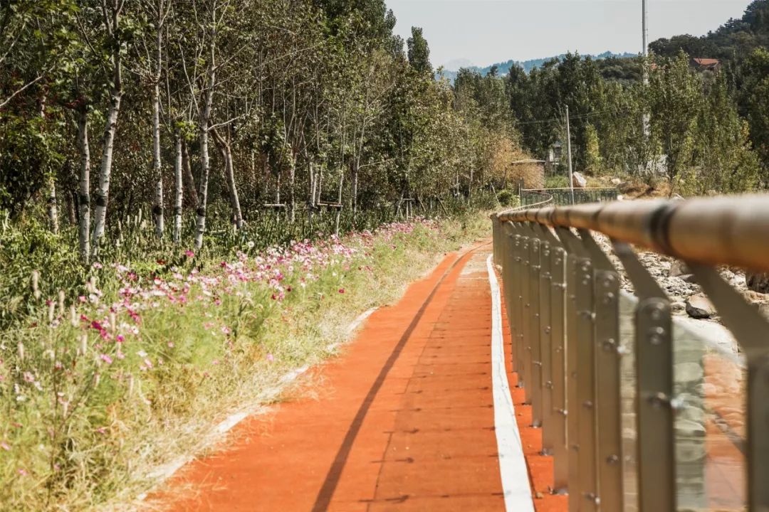 金线河公共空间节点 | 晒满山楂满堂红-38