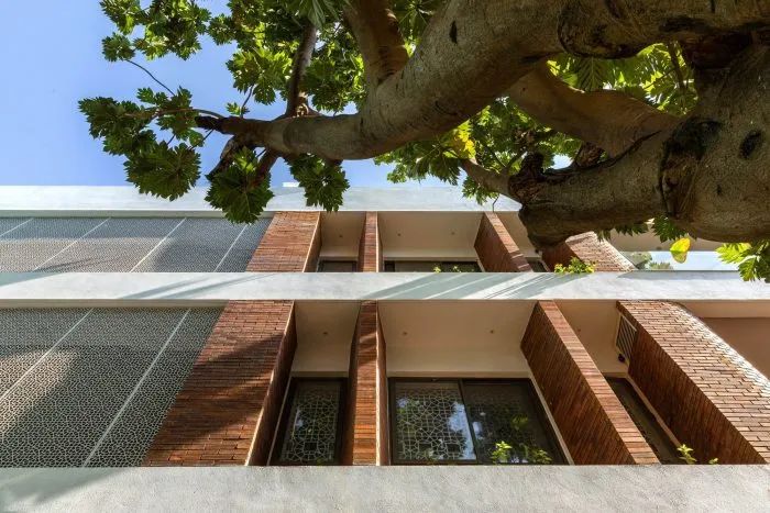 阿什福德之家丨印度班加罗尔丨The Purple Ink Studio-44