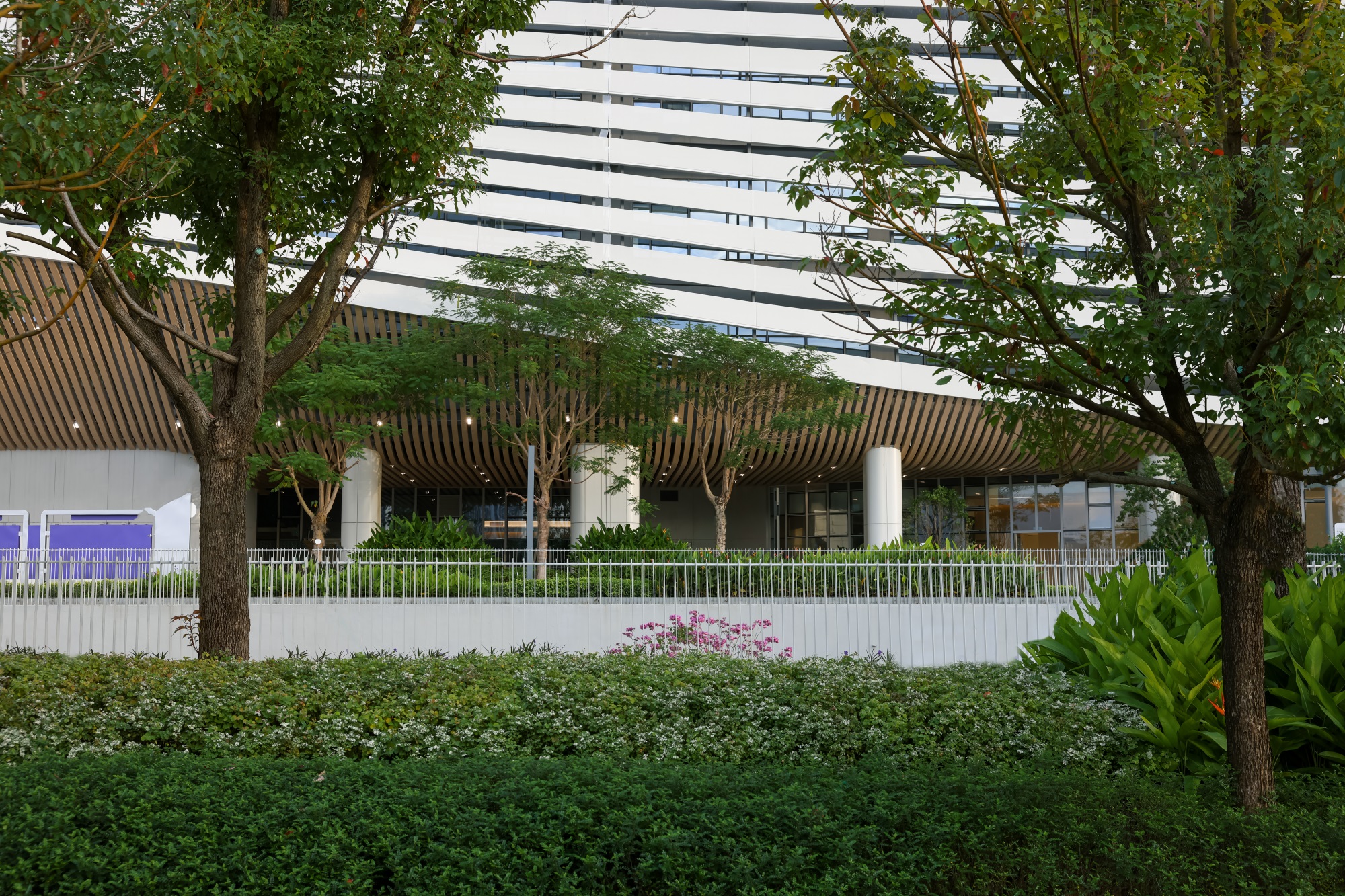 深圳市第二人民医院大鹏医院丨中国深圳丨景观设计为深圳市希尔景观设计有限公司等多家-50