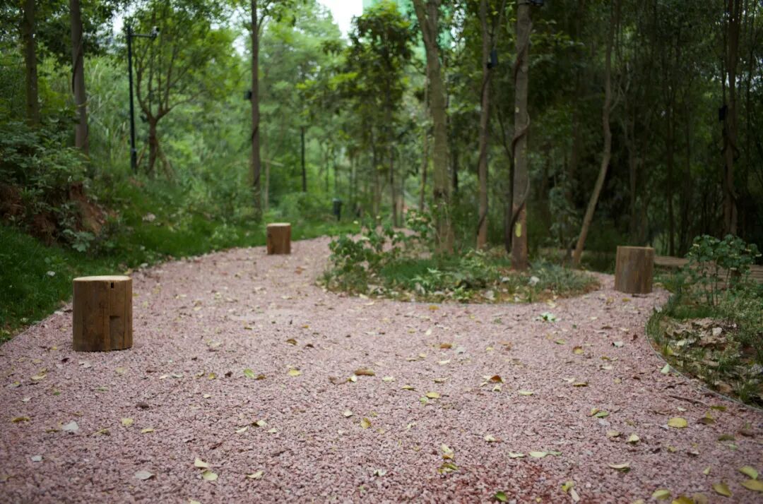 城市掌心的生态山野——麓野公园-126