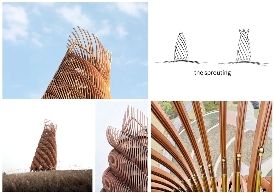 喜讯！成都设计咨询集团所属市建筑院熊猫塔项目结构设计获中国钢结构协会技术创新奖-12