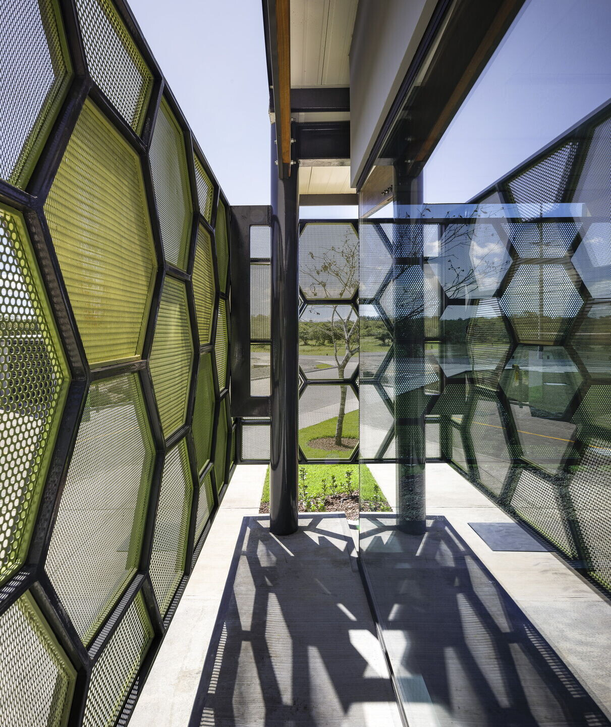 哥斯达黎加 ACIB 生物医学实验室-16