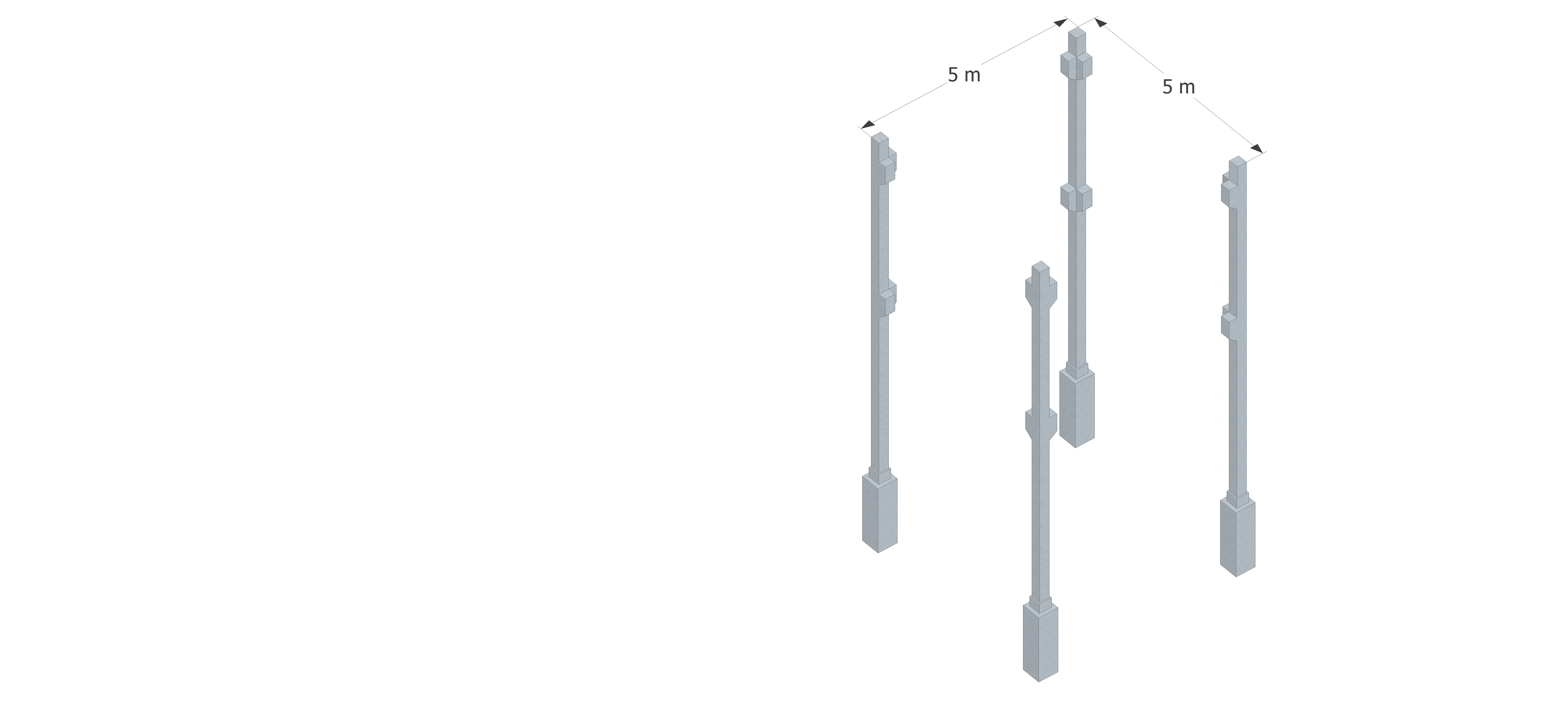 沼泽地中的学校-7