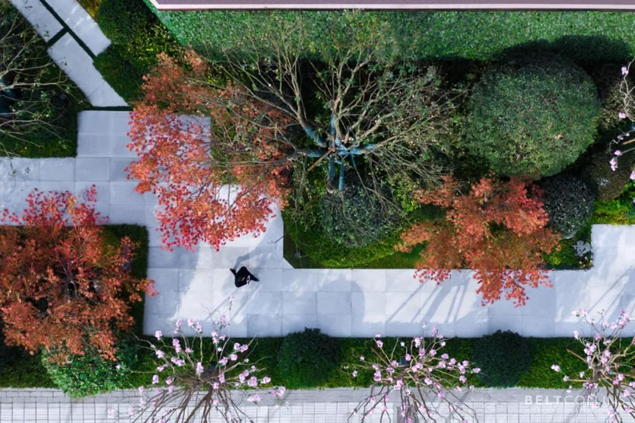 合肥伟星玖都荟丨中国合肥丨贝尔高林国际(香港)有限公司-16