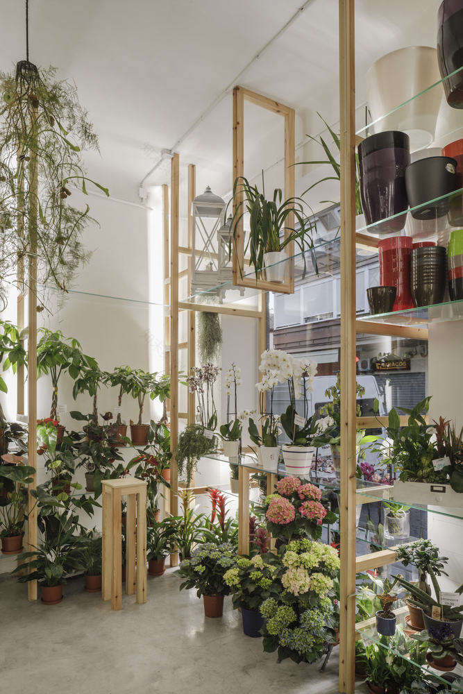 Orchids and Ladders SERRANO+BAQUERO Arquitectos-37