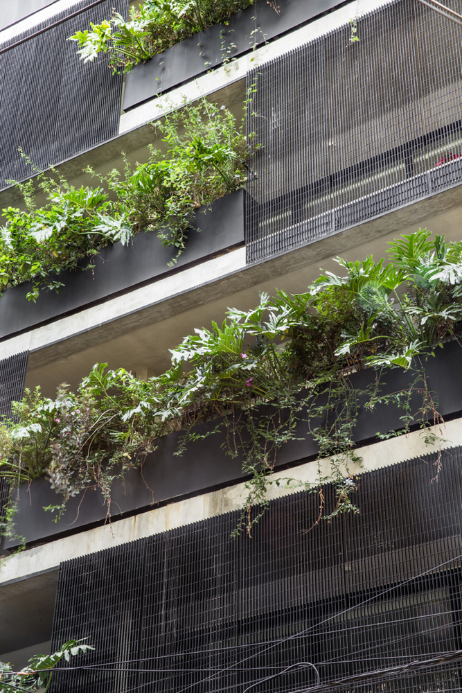 墨西哥城市郊外 Capuchinas 34 公寓设计-24