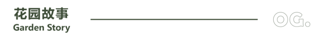 简约温馨的绿树浓荫下惬意空间丨苑筑-2