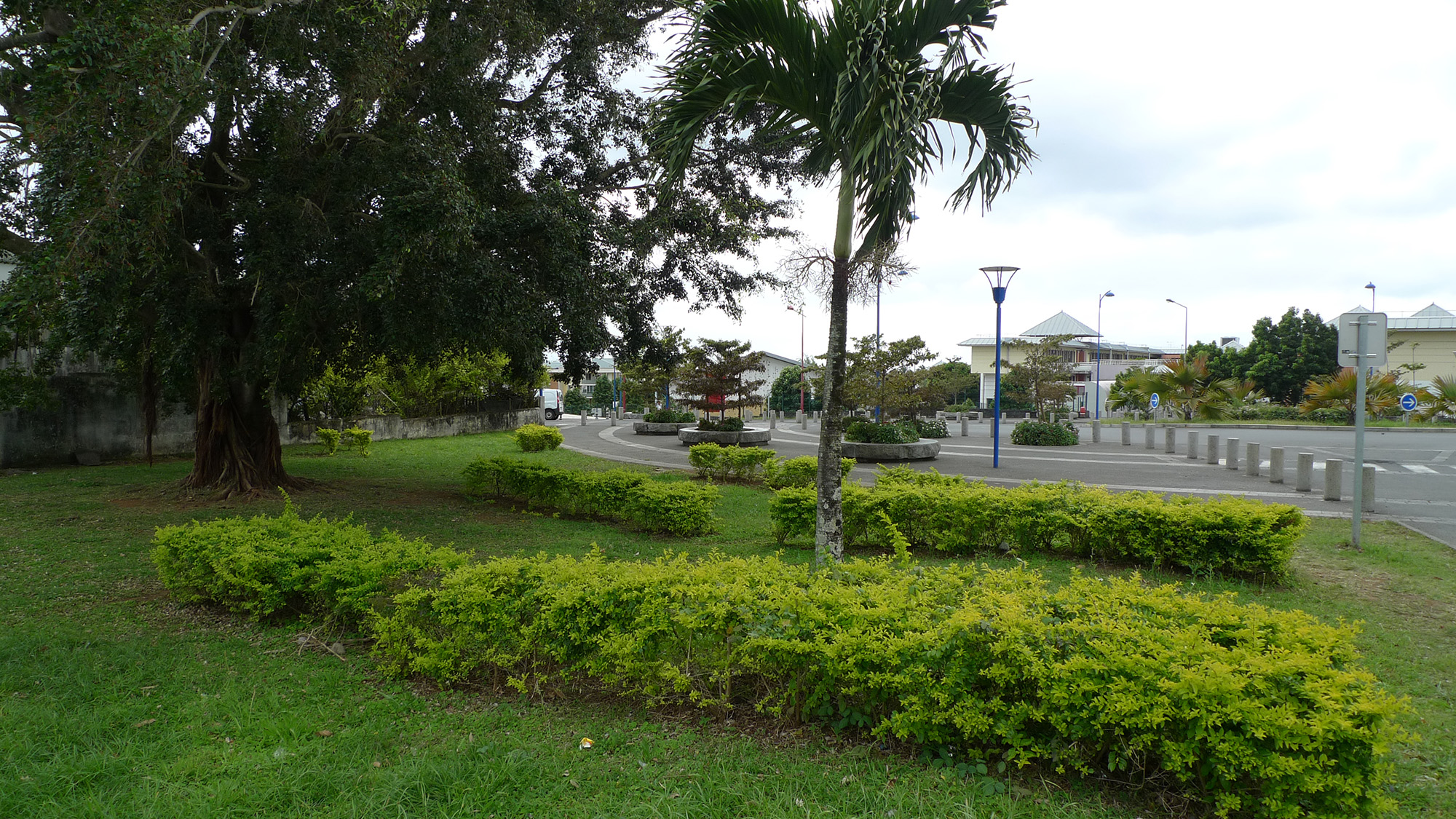 Chemin Bras Fusil城市更新项目-33