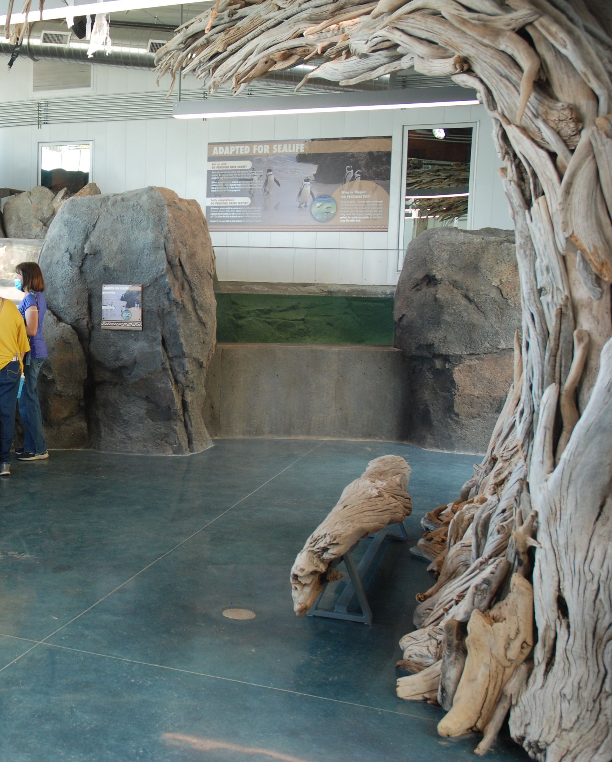 水际之地：非洲丨美国科罗拉多斯普林斯丨SH|R Studios-14