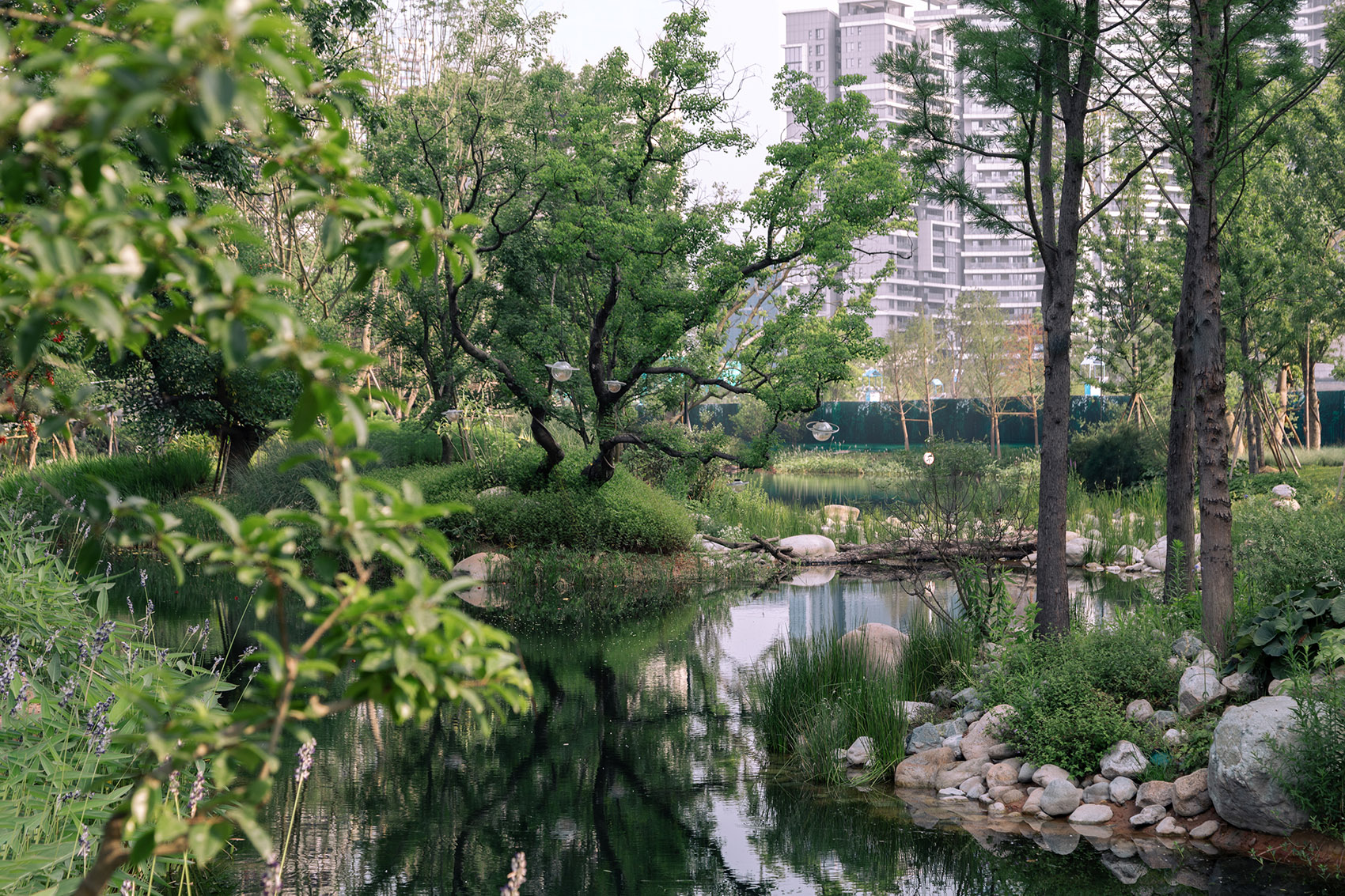 成都麓湖生态城仙踪公园丨中国成都丨WTD纬图设计-100