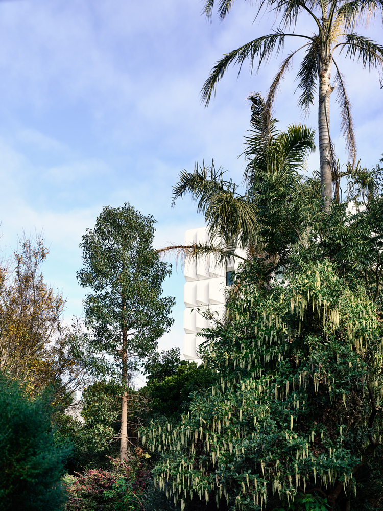 莫纳什大学生物科学楼丨澳大利亚丨Kosloff Architecture-32