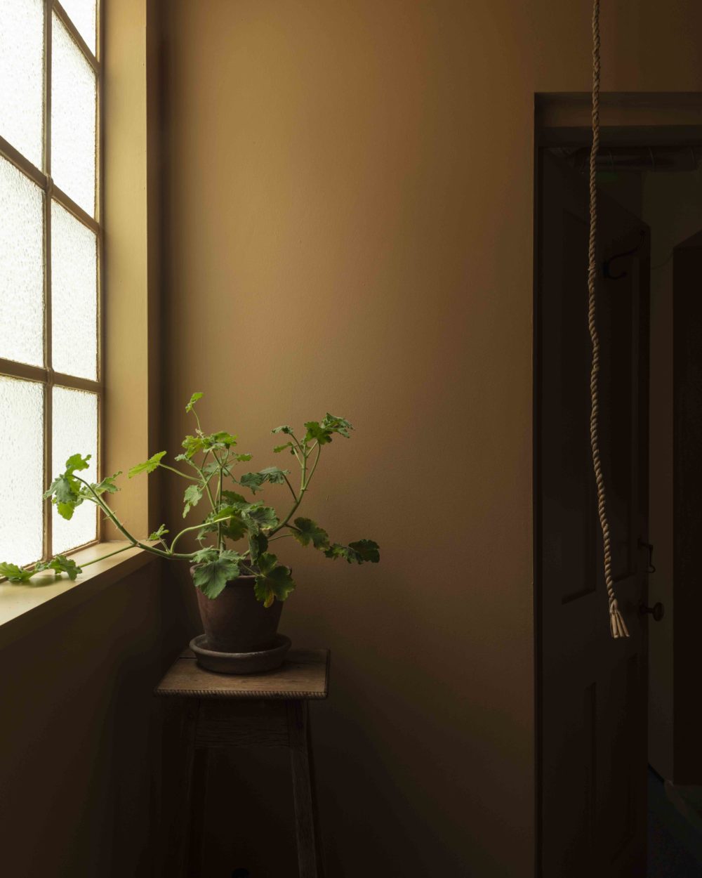 伊索剑桥店（注：Aesop是知名护肤品牌伊索，这里推测CAMBRIDGE可能指剑桥这个地方，结合语境常见表达可能是伊索在剑桥的门店等，若不是该语境请提供更多信息） 丨英国剑桥丨James Plumb-18