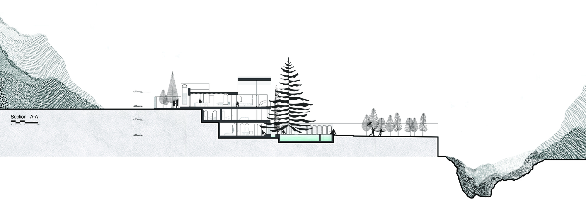 A House Looking to A Cedrus Tree / Cedrus Studio-46
