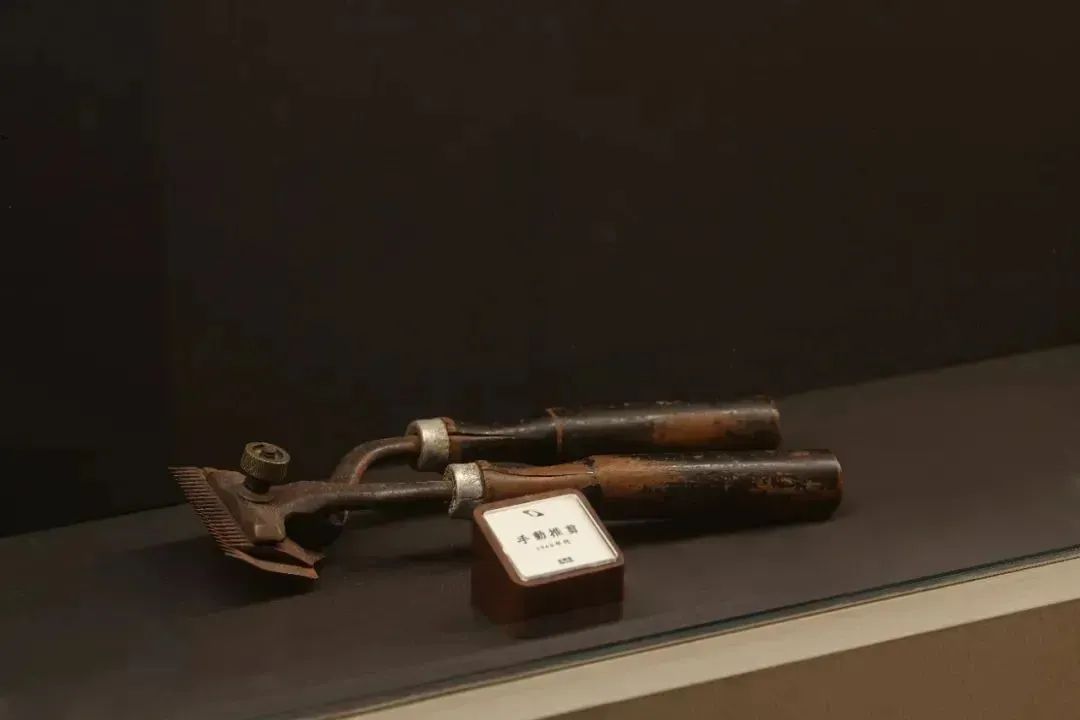 左先生工作室丨中国泉州丨超睿裏子设计工作室-41