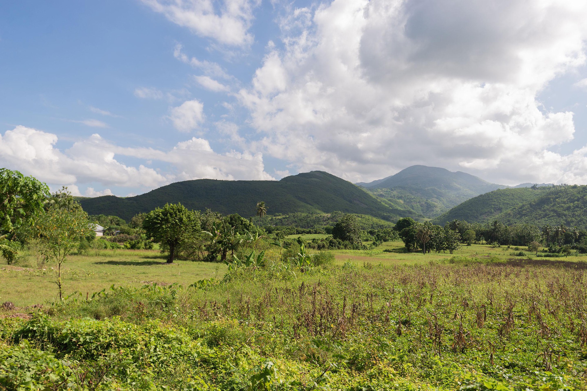 Community Center in Bercy-Cavaillon Haiti / Emergent Vernacular Architecture (EVA Studio)-31