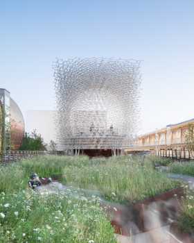 蜂巢 (The Hive)