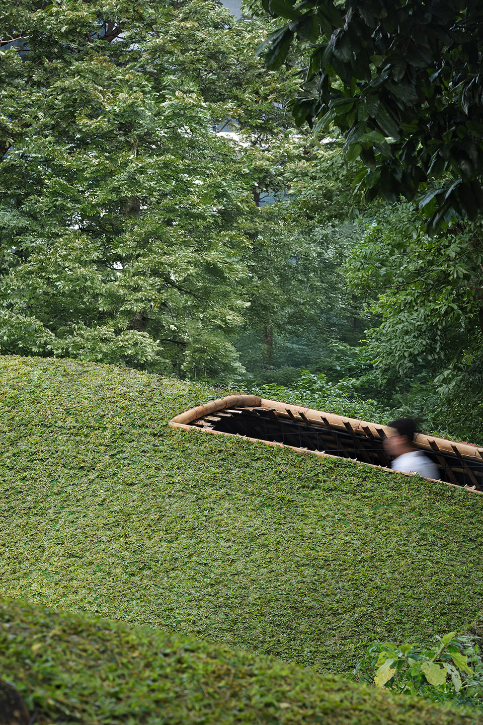 Chicken Hero 亭丨印度尼西亚雅加达丨RAD+ar-12