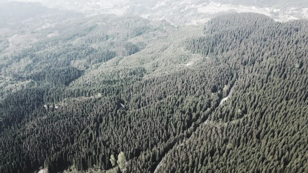 泸州之巅的云卷云舒——洲际·漢林度假酒店设计解析-18