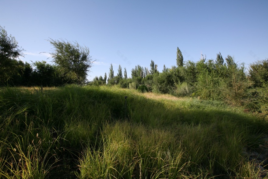 新疆博乐人民公园改造-59