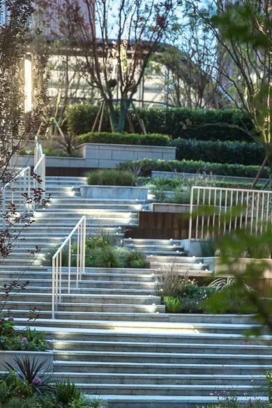 成都龙湖·上城天玺 | 空中花园的山林水居-73